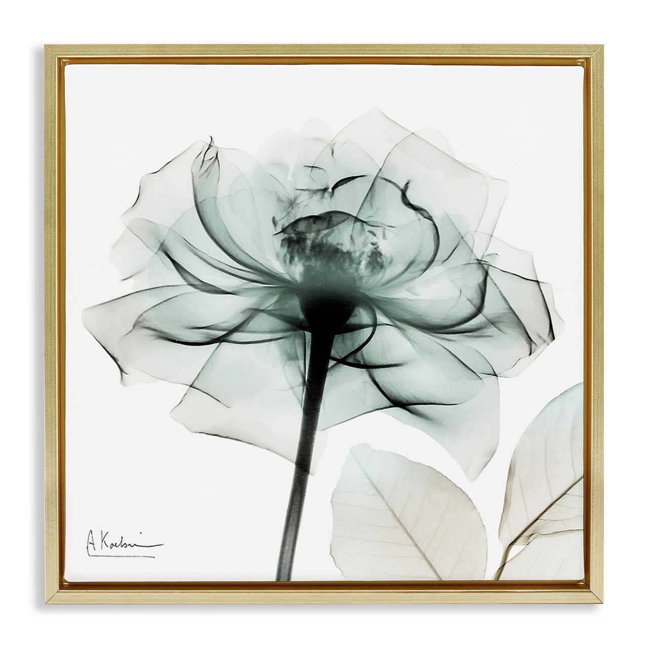 Stupell Industries Transparent Flower Blossom Floating Frame Design by Albert Koetsier